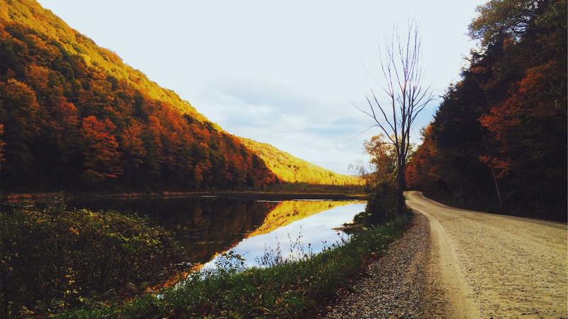 新91视频多维视角内容生态文章配图
